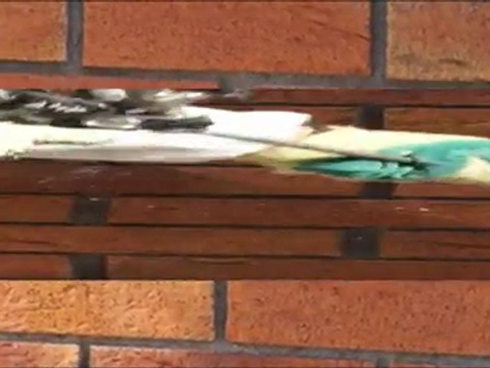 cavity INSULATION FOAM INJECTION FUSION INSULATION BIOFOAM