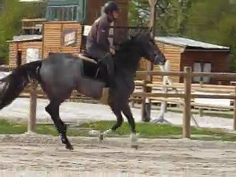 Ultime M&A Sandillon 14 04 2011 02