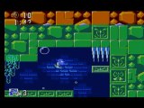 Sonic the hedgehog (master system) défi émeraudes