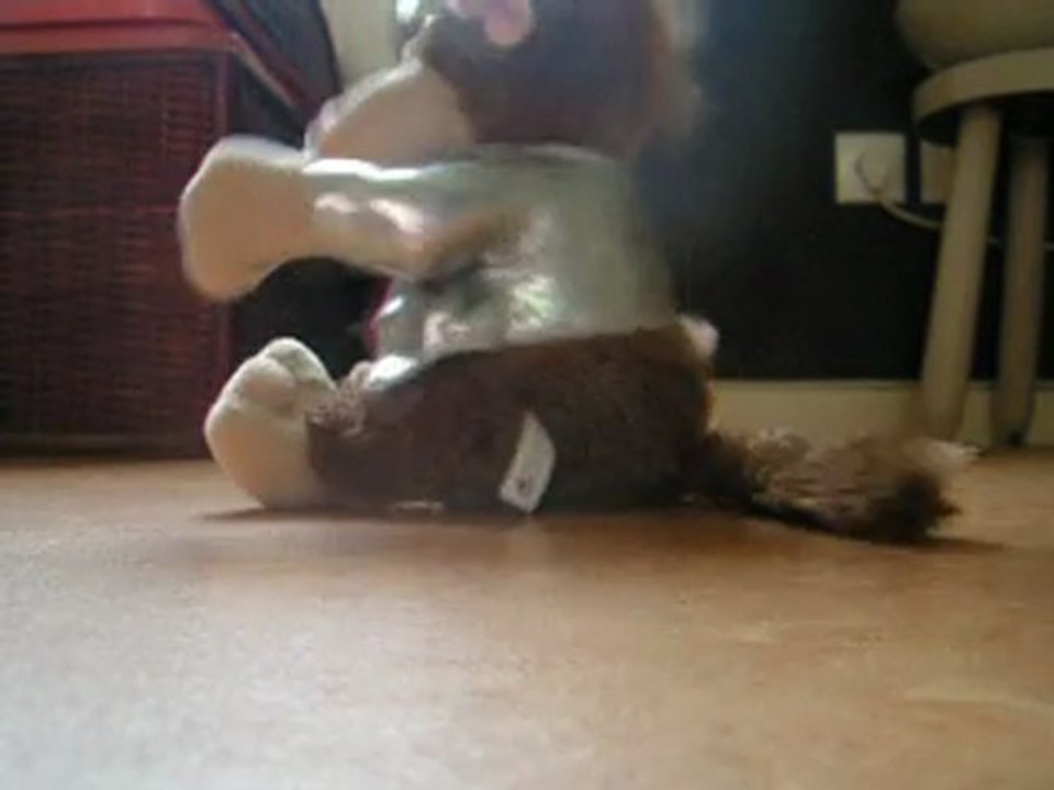singe maboule