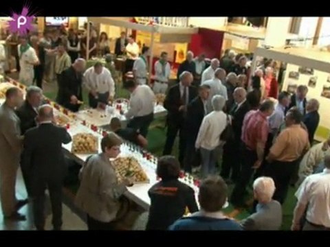 La 31ème Foire commerciale de Rougé