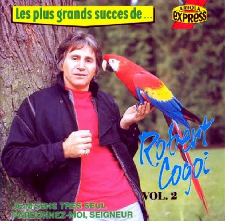 Robert Cogoi - Je suis perdu