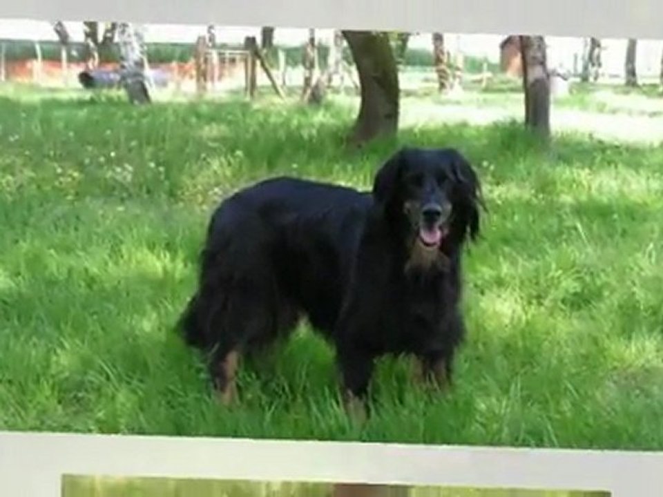 Pouchka et Boann avril 2011