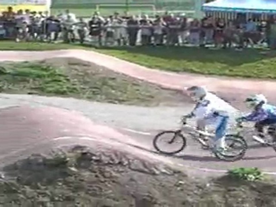 vire 2011