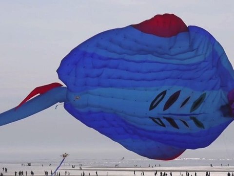 Ambiance lors des rencontres internationales de cerfs-volants de Berck-sur-Mer (Pas-de-Calais)