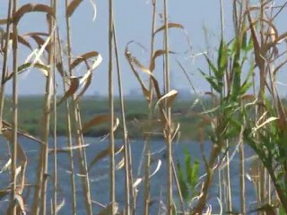 Tarefa de recuperação