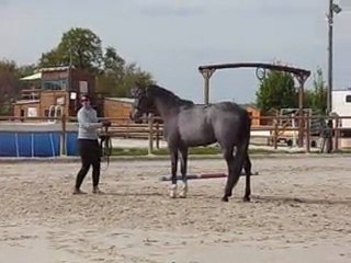 Ultime M&A Sandillon 14 04 2011 01