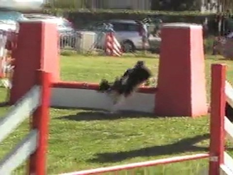 CHOUIA GPF CUGNAUX 170411