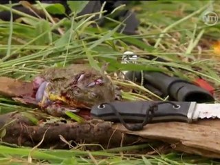 seul face a la nature