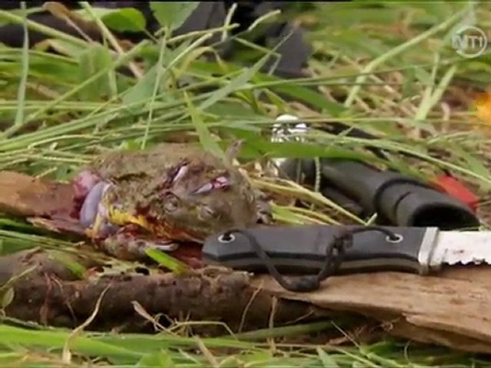 seul face a la nature