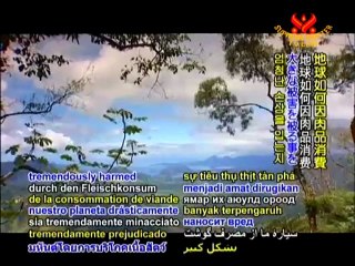 Greenpeace International’s Guruswamy Ananthapadmanabhan