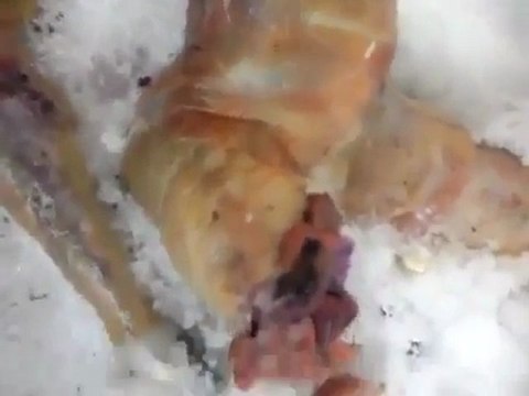 Найден труп инопланетянина(Strangeworlds.at.ua)