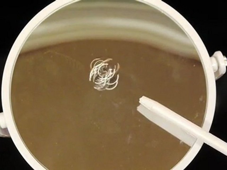 Spinning Death Spheres! - Scientific Tuesdays