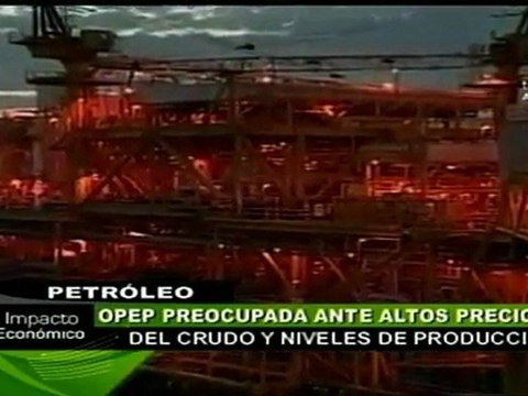 Miembros de la OPEP preocupados por alza de precios