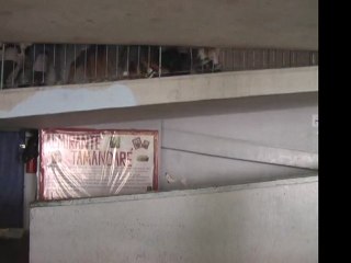 Escola Almirante Tamandaré - grupo 3