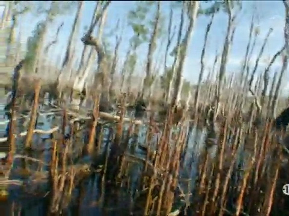 SEUL FACE A LA NATURE