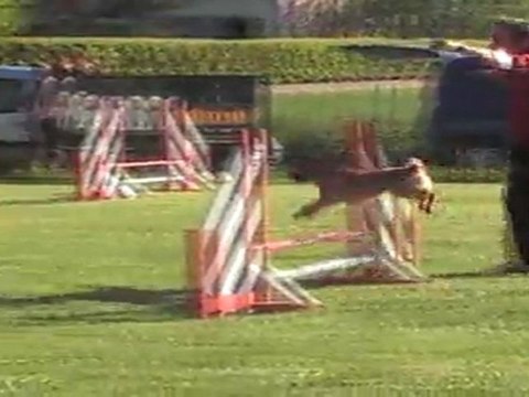 GERARD JUMPING CUGNAUX 170411