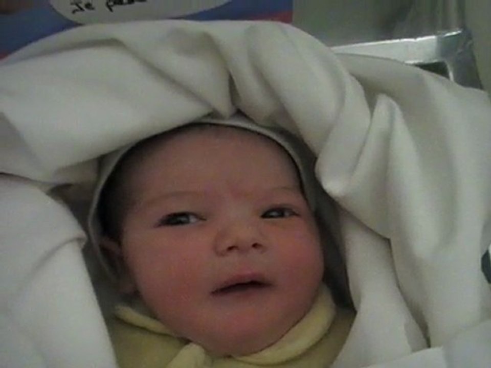 camelia