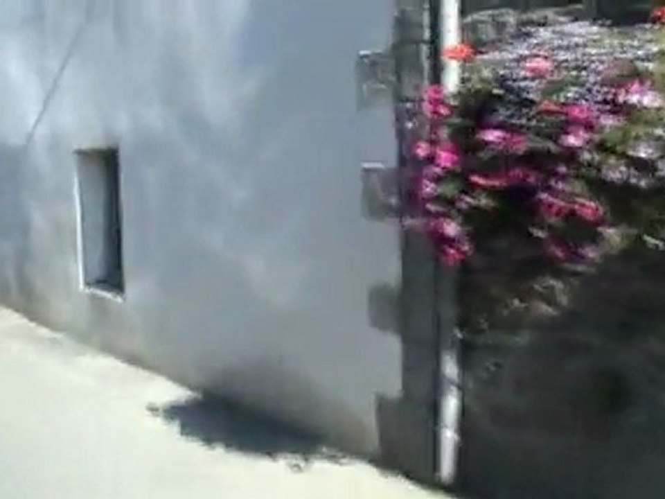 Terrot 2008