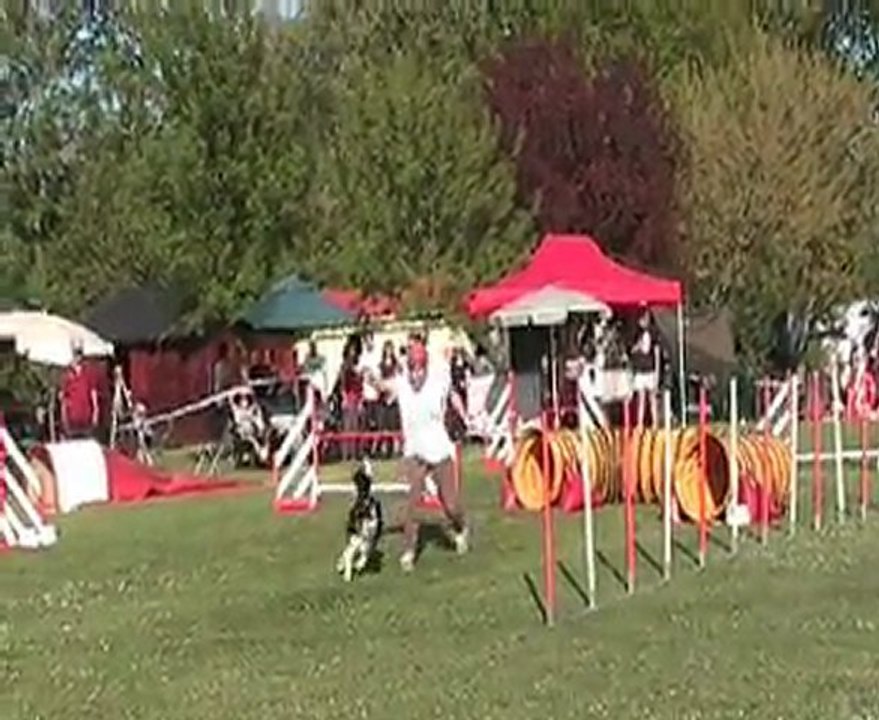 jumping  brume