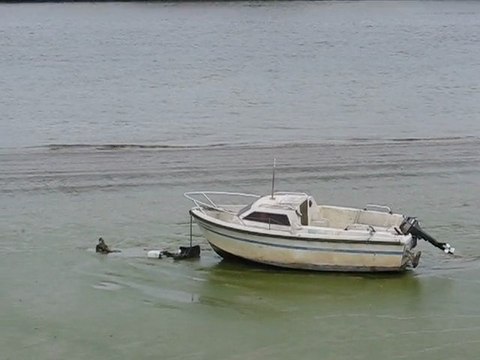 Rezé Trentemoult : ambiance vide greniers