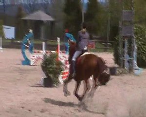 Impeck du Parnasse & moi - Fagne St Remacle