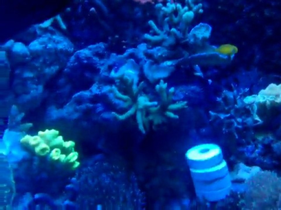 Aquaavril11