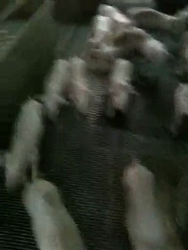 保育舍第四棟_0385