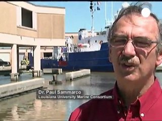 Jury out on marine damage a year after Gulf oil spill