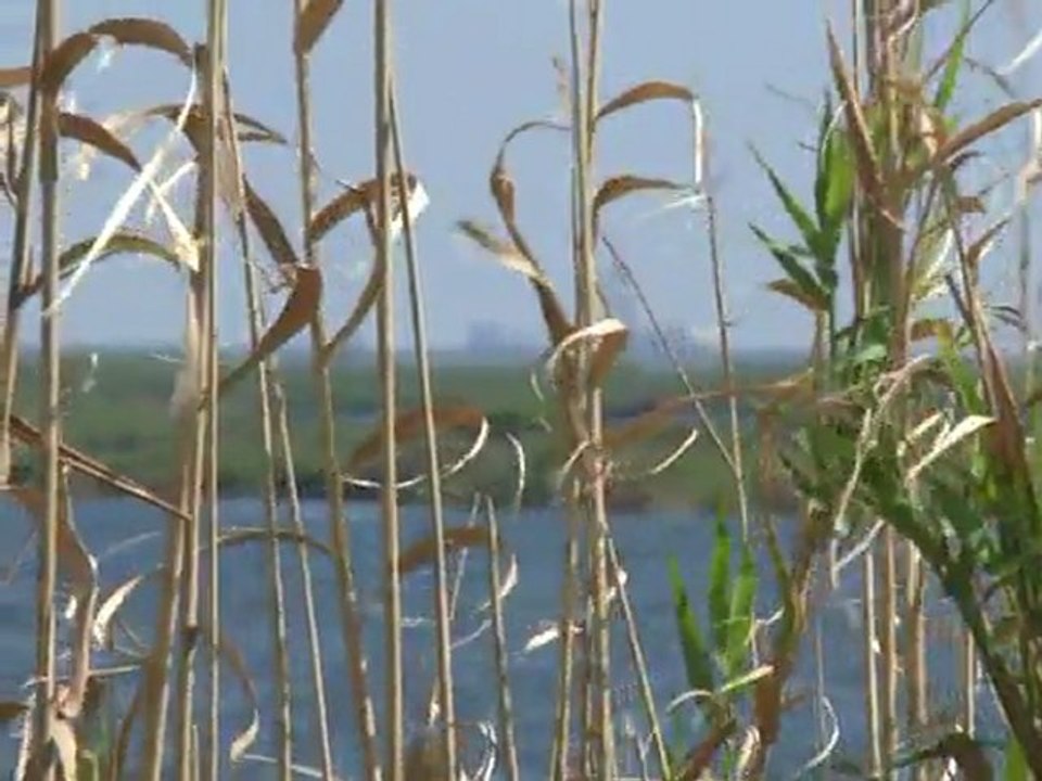 US-Golfküste hat noch immer mit BP-Ölpest zu kämpfen