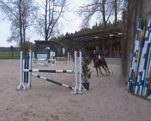 Sirocco et moi - Fagne St Remacle