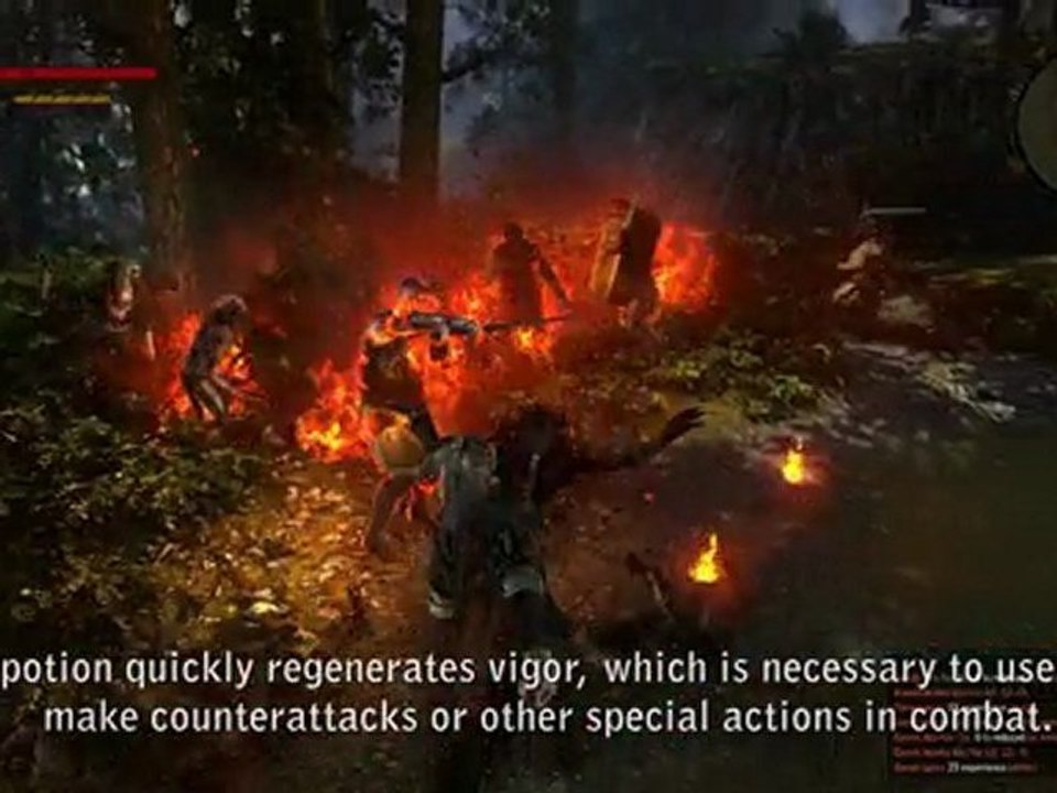 The Witcher 2: Assassins of Kings Developers Diary #5: Character development and items