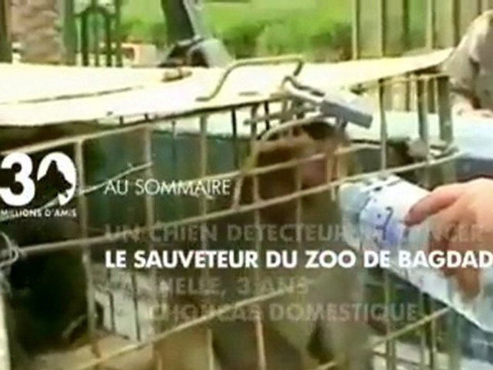 Sommaire emission 30 Millions d'Amis 23 04 11