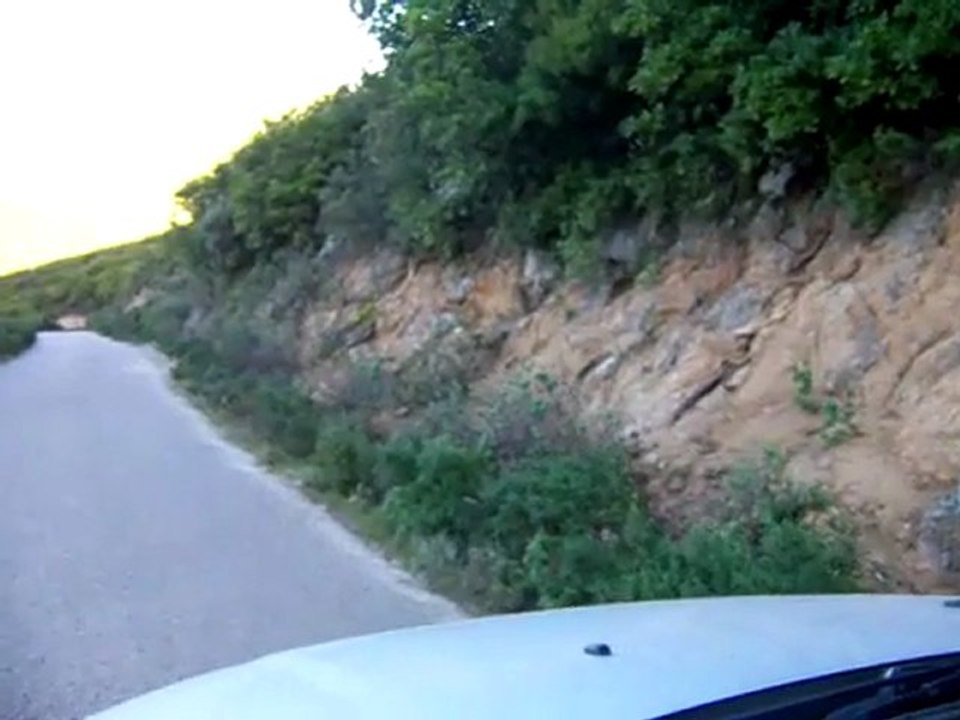 Keklik www.Avyaban.com - ergo