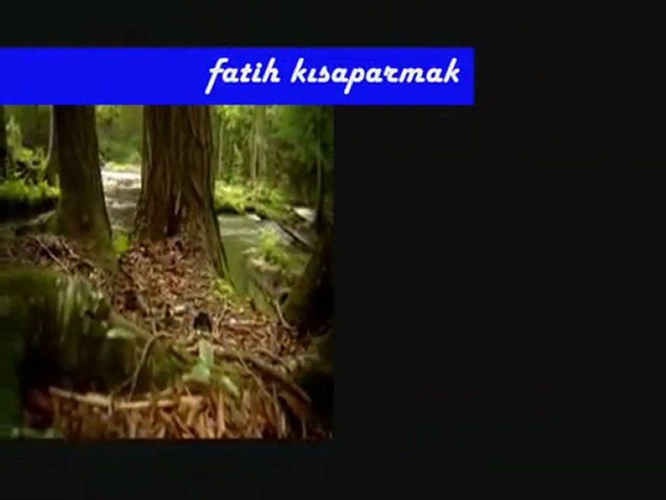 Fatih Kısaparmak-İki Gözüm İki Çeşme Duvarların Ardında