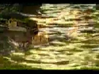 Yağmurun Ülkesi RİZE-2