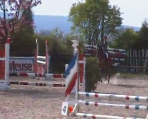 Sirocco et Justin - Fagne St Remacle