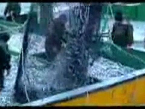 Yağmurun Ülkesi RİZE-3