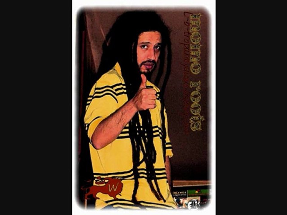 momo roots & steel pulse