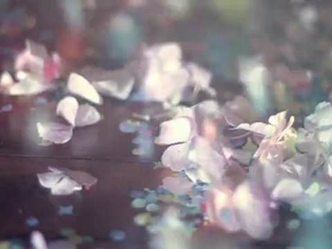 Le film - The Cherry Blossom Girl pour Etam