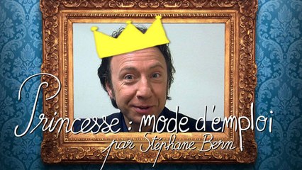 Princesse : mode d'emploi, par Stéphane Bern