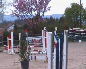 Justin et Sirocco - Fagne St Remacle, après-midi.