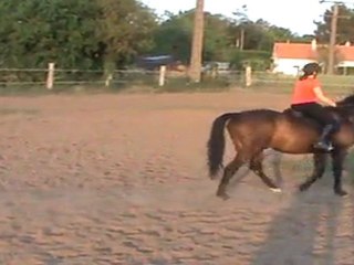 Entrainement dressage avril 2011