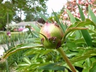 Empowerment Reflections Inspired by JK