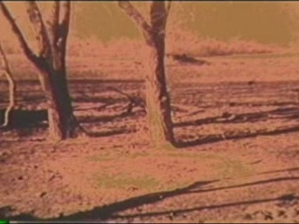 The Fourth Kind - Alien Abduction Stories: (3)