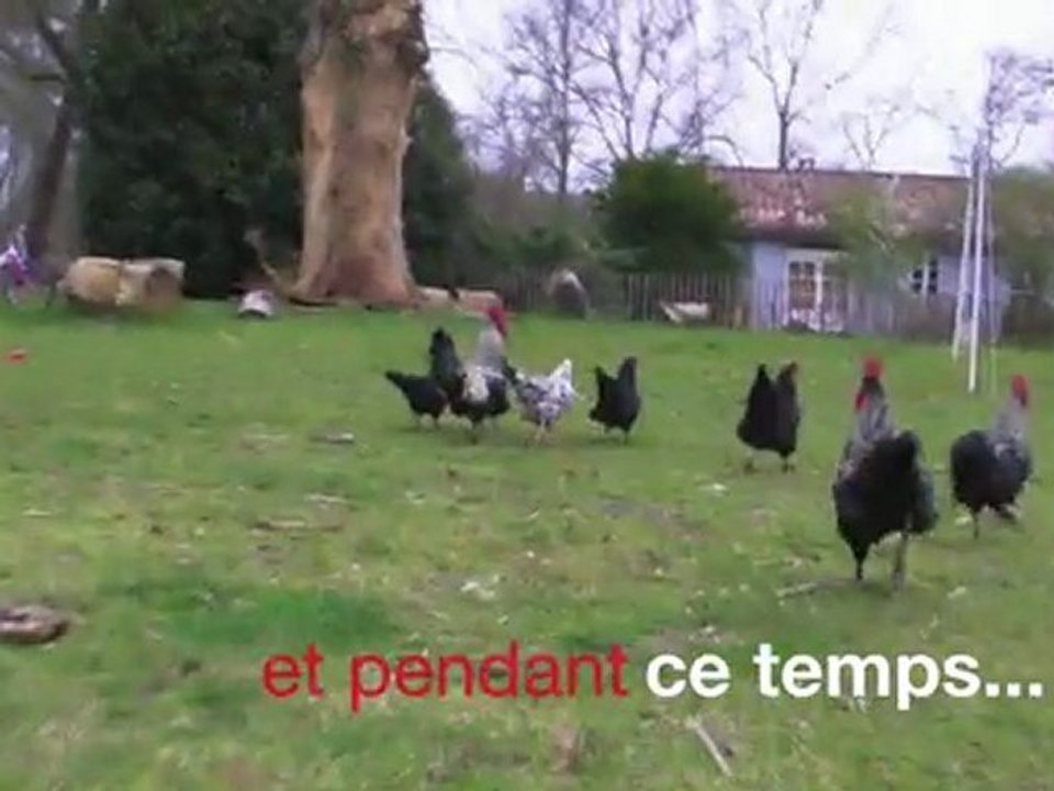 Sans Additif Studio épisode 12