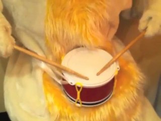 Cannes Young Lions Film - Entrant (5)