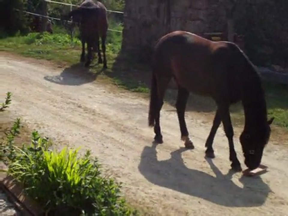 Aujourd hui bricolage et jardinage devant la maison 01