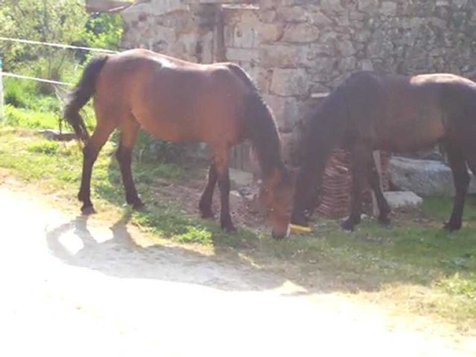 Aujourd hui bricolage et jardinage devant la maison 02