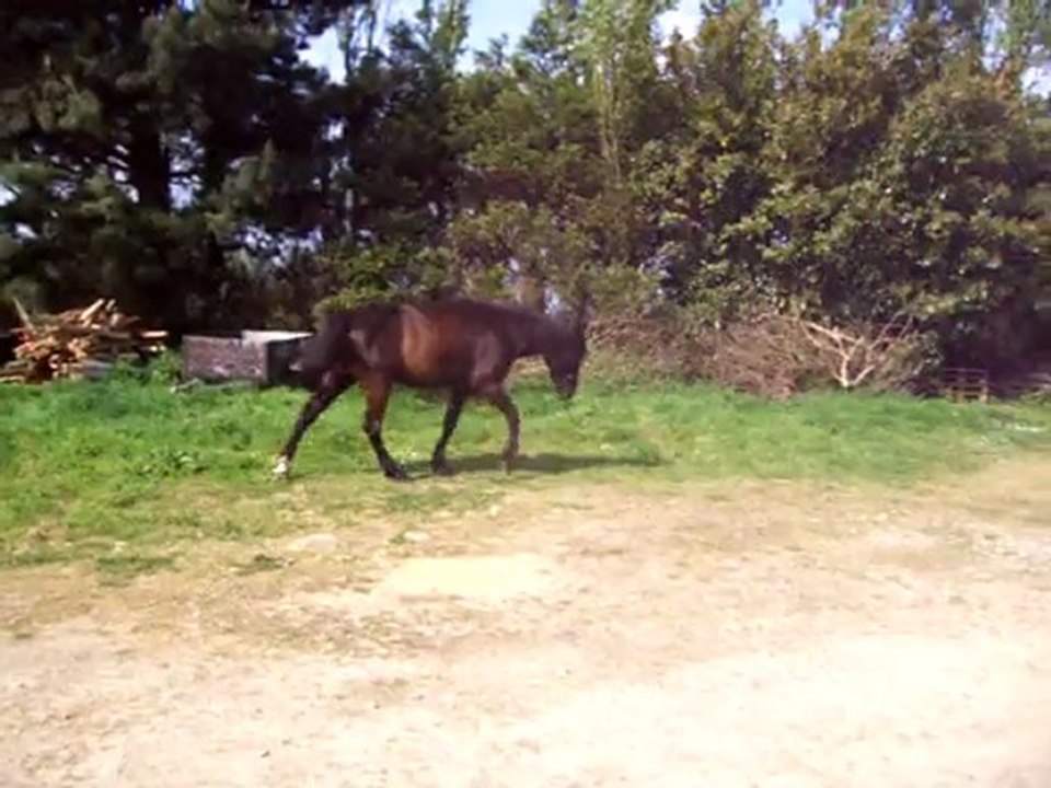 Aujourd hui bricolage et jardinage devant la maison 04